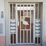 Formosa *